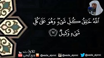 تلاوة غاية في الجمال من سورة الزمر _وديع اليمني
