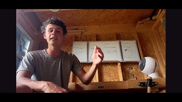 Operant conditioning explained for dog training