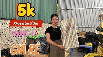 Khay bầu ươm cây giống , ươm hạt giống , ươm rau tiện lợi năng suất cao. Thanh lý giá rẻ