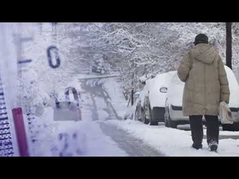 Video: Çfarë korret në pranverë?