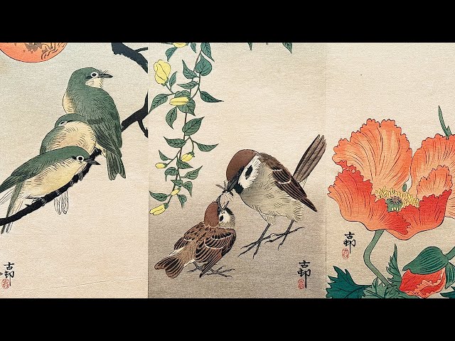 小原古邨「雨中の田鷸」木版画 没後80年 小原古邨 ―鳥たちの楽園 | 太田記念美術館 Ota