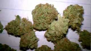 Herb update - What I'm smoking