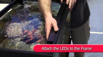 Marineland Hidden and Accent LED Lighting Systems Quick Set Up Guide