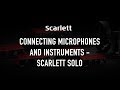 Connecting microphones and instruments - Scarlett Solo