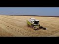 Заканчиваем уборку ячменя. Комбайн CLAAS MEGA 370. Пыль, осот всё забивают.