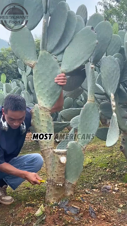 You might not know that the real money-makers from cacti are the bugs on them #cactus #lipstick