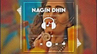 Nagin dhindhin [slowed and reverb] sloverbs studio #slowed