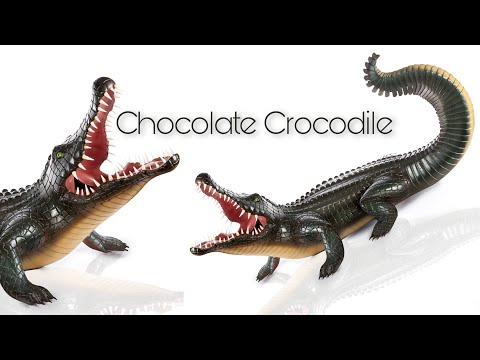 Chocolate Crocodile