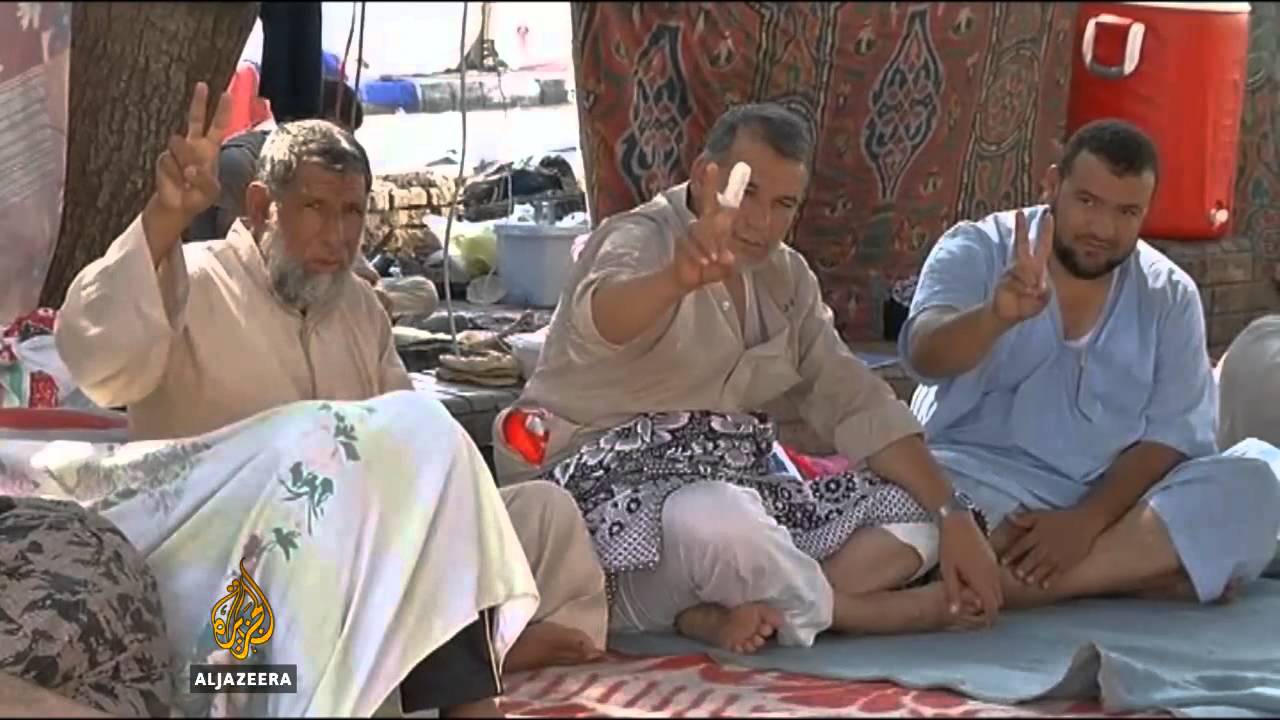 البرادعي، نائب الرئيس للشؤون الخارجية