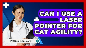 Can I Use A Laser Pointer For Cat Agility? - PetGuide360.com
