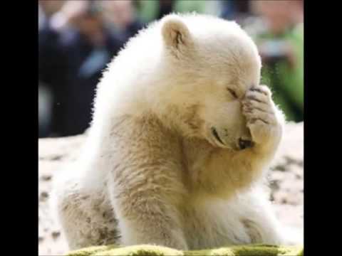 სილკნეტის ოპერატორის და აბონენტის ძალიან სასაცილო აუდიო ჩანაწერი, სიცილით გაიგუდებით :DDDD