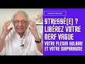 Vido stresse  librez nerf vague plexus solaire et diaphragme par guy roulier soustitre