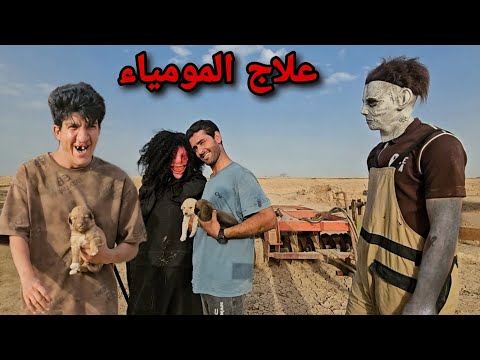 وجدنا علاج المومياء لعلاج الخرسان