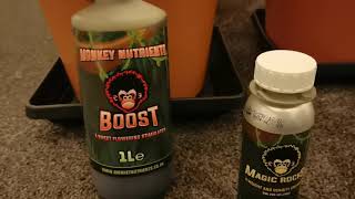 check out monkey nutrients bud boosters