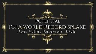 Potential IGFA world record splake taken in Utah.