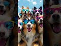 Hahahahaha Funny Gang 🤣🤣🤣 #aianimation #ai #cuteanimals