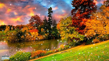 آيات من سورة هود  تلاوة هادئة - عبدالإله هازع Surat Hood by Abdulelah Hazea