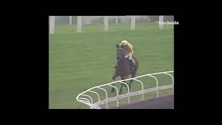 20 Sep 03 TARA Soft INT HDL 3000m Honestly  S.Sakai screenshot 1