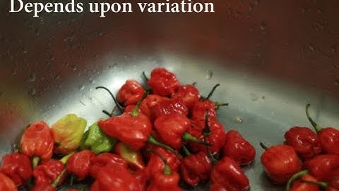 Statistical Rethinking Fall 2017 - week08 lecture14