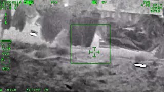 Sonoma Sheriff's Video Shows Rats Overrun Hiking Trail by Homeless Camp