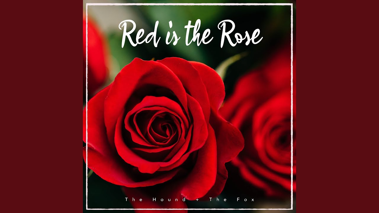 Red is the Rose YouTube