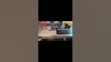 Sorting and Orientation for Injection Syringe in Pharmaceutical, With Vision System