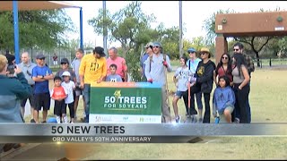 Oro Valley residents plant 50 trees to celebrate 50 years of Oro Valley