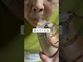 【突然介護が始まったら】#突然#在宅介護#ケアマネ