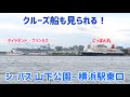 【豪華客船2隻の姿も！】シーバス（ハンマーヘッド通過便）　山下公園〜横浜駅東口　左舷側の景色（車窓）　2026/05/08 ダイヤモンド・プリンセス & にっぽん丸寄港中