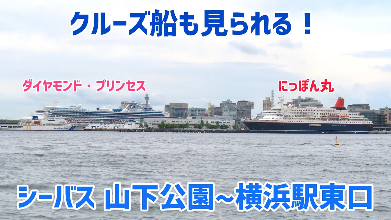 【豪華客船2隻の姿も！】シーバス（ハンマーヘッド通過便）　山下公園〜横浜駅東口　左舷側の景色（車窓）　2026/05/08 ダイヤモンド・プリンセス & にっぽん丸寄港中