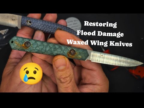 Restoring Flooded Waxed Wing Knives