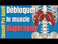 Diaphragme comment dbloquer dtendre ce muscle pour soigner le dos