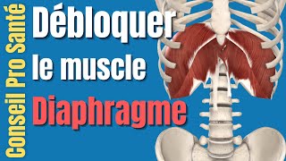 Diaphragme comment débloquer détendre ce muscle pour soigner le dos