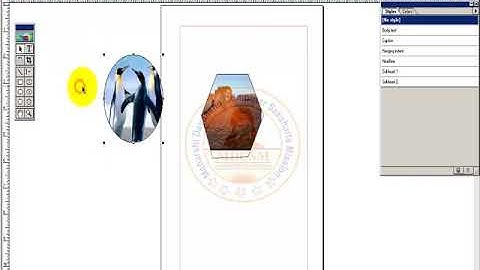 How to do Mask and Unmask in Page Maker Tutorial in Hindi