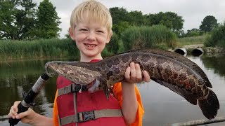 Catching Snakeheads on Live Bait & Lures  Snake head Catch Clean & Cook