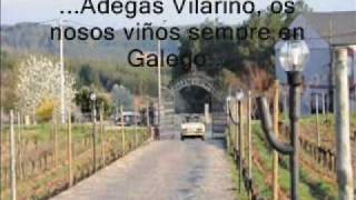 Adegas Vilariño D.O. Ribeira Sacra, Sobrecedo, coa defensa do Idioma Galego.