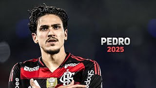 Pedro 2025 ● Flamengo ► Amazing Skills, Goals & Assists