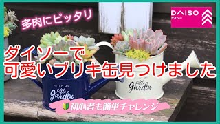 ダイソーで可愛いブリキ缶見つけました