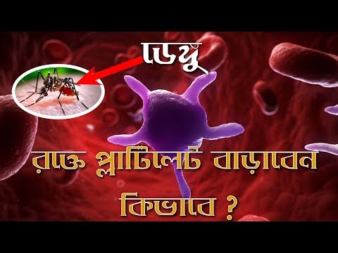 Dengue Epidemic|ডেঙ্গু মহামারী | প্লাটিলেট বাড়াবেন কিভাবে ? | How to raise platelets? | Teach N Talk