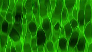 Green and Black Glossy Background Stock footage free by Mitesh Mojidra 838 views 2 months ago 30 seconds