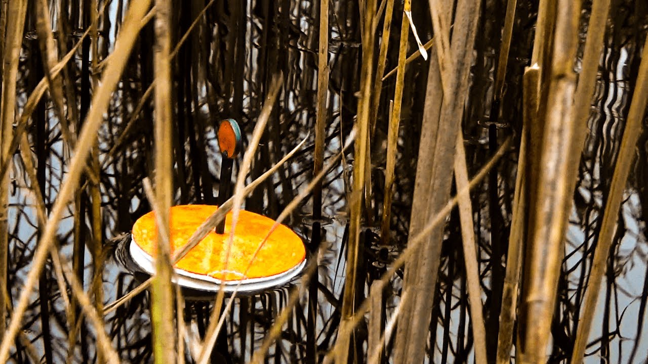 Новий спосіб лову і є результат.