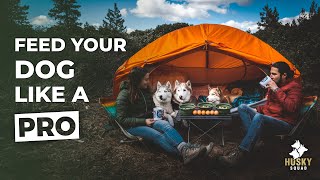 What My Dog Eats In A Day RAW  Camping with My Dog Tips | HUSKY SQUAD