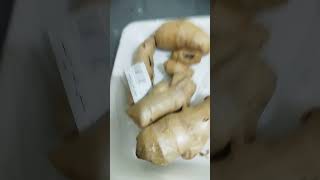 Loyashort #video