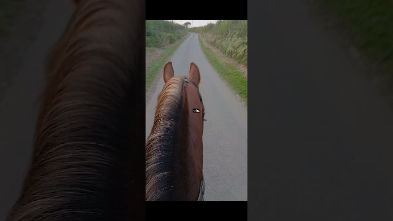 ⁣i actually only got badoo this year! (editted by rosie) #horse #rider #horse #rider  #horses #pony