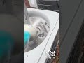HVAC Red Flag - Ice Build Up - West End Heating &amp; Air #shorts #home #hvac