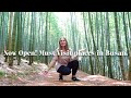 Bamboo Forest Temple By The Sea Last Trips In Busan 