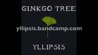 Ginkgo Tree (demo)