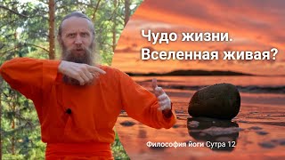 видео: Жизнь принесли пришельцы? Может ли камень стать человеком? Что говорит йога | Сутры на санскрите.№12 картинка: Жизнь принесли пришельцы? Может ли камень стать человеком? Что говорит йога | Сутры на санскрите.№12