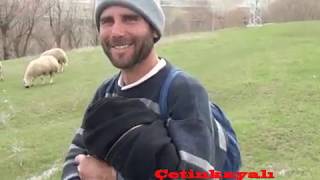 Çeti̇nkaya Koçköpru Davar Ve Kuzular