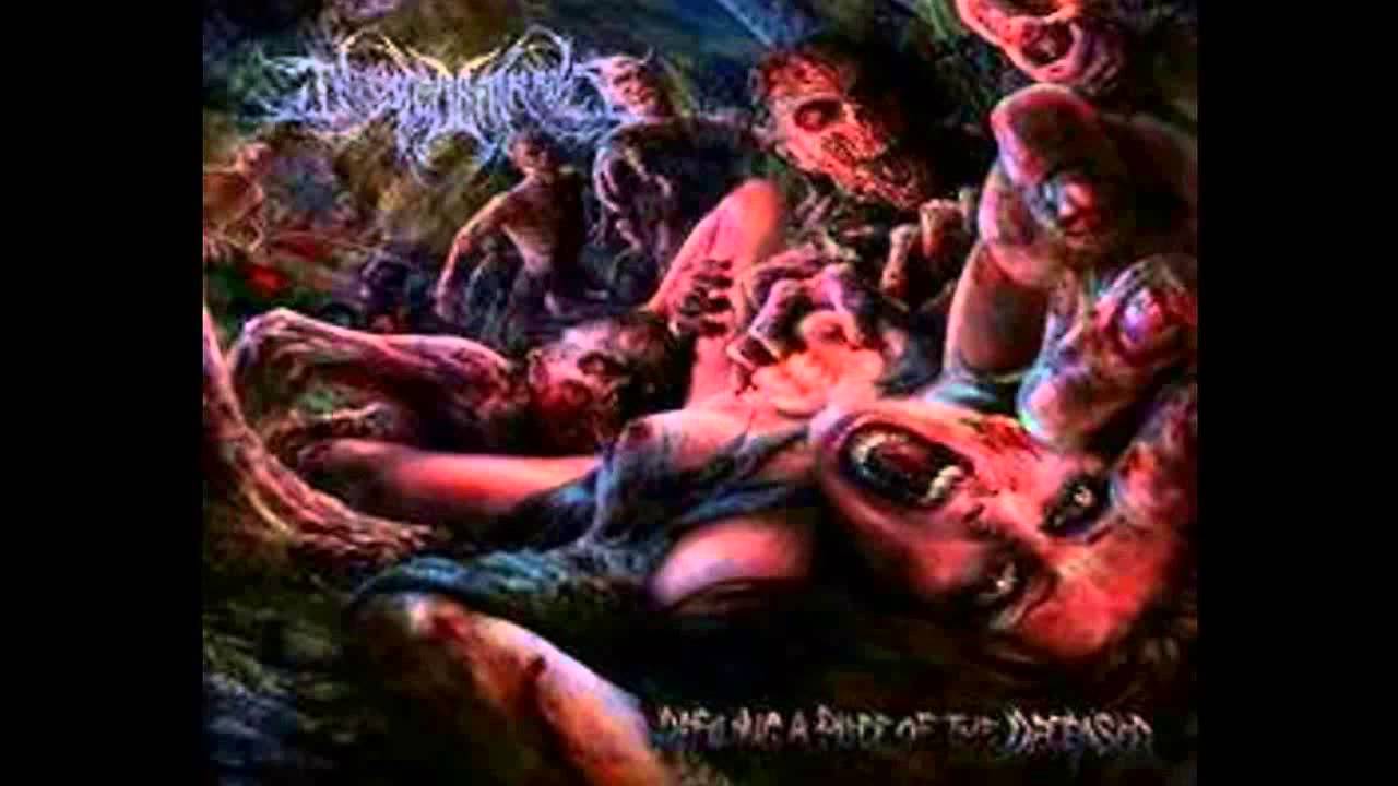 Watch INFESTED ENTRAILS - Necrocity on YouTube Watch INFESTED ENTRAILS - Necrocity on YouTube